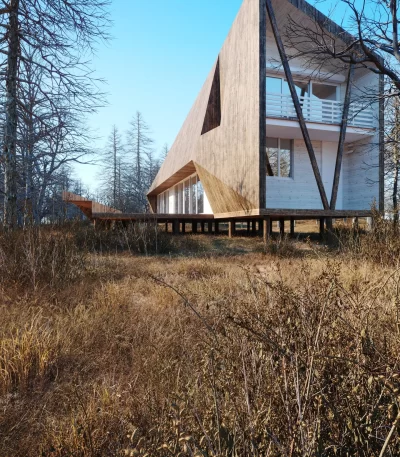 3dsmax tree V43 Scene