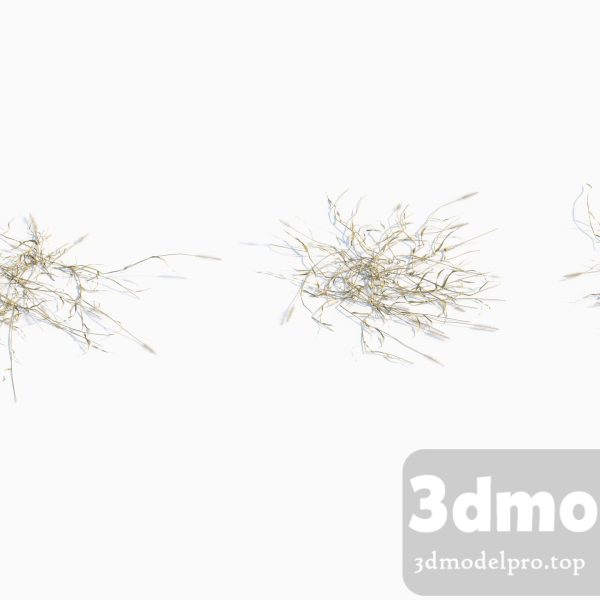 3dsmax tree V_V43 Setaria viridis 02